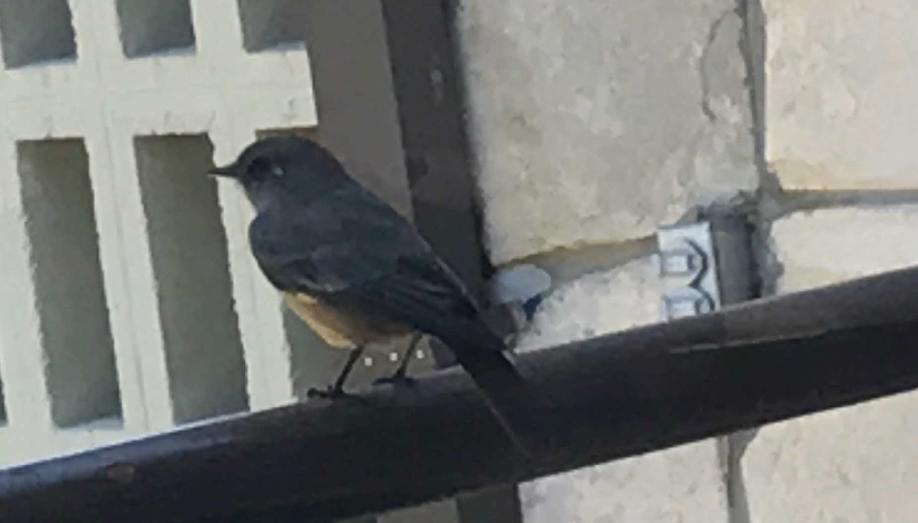 File Aug 29, 1 25 10 PM