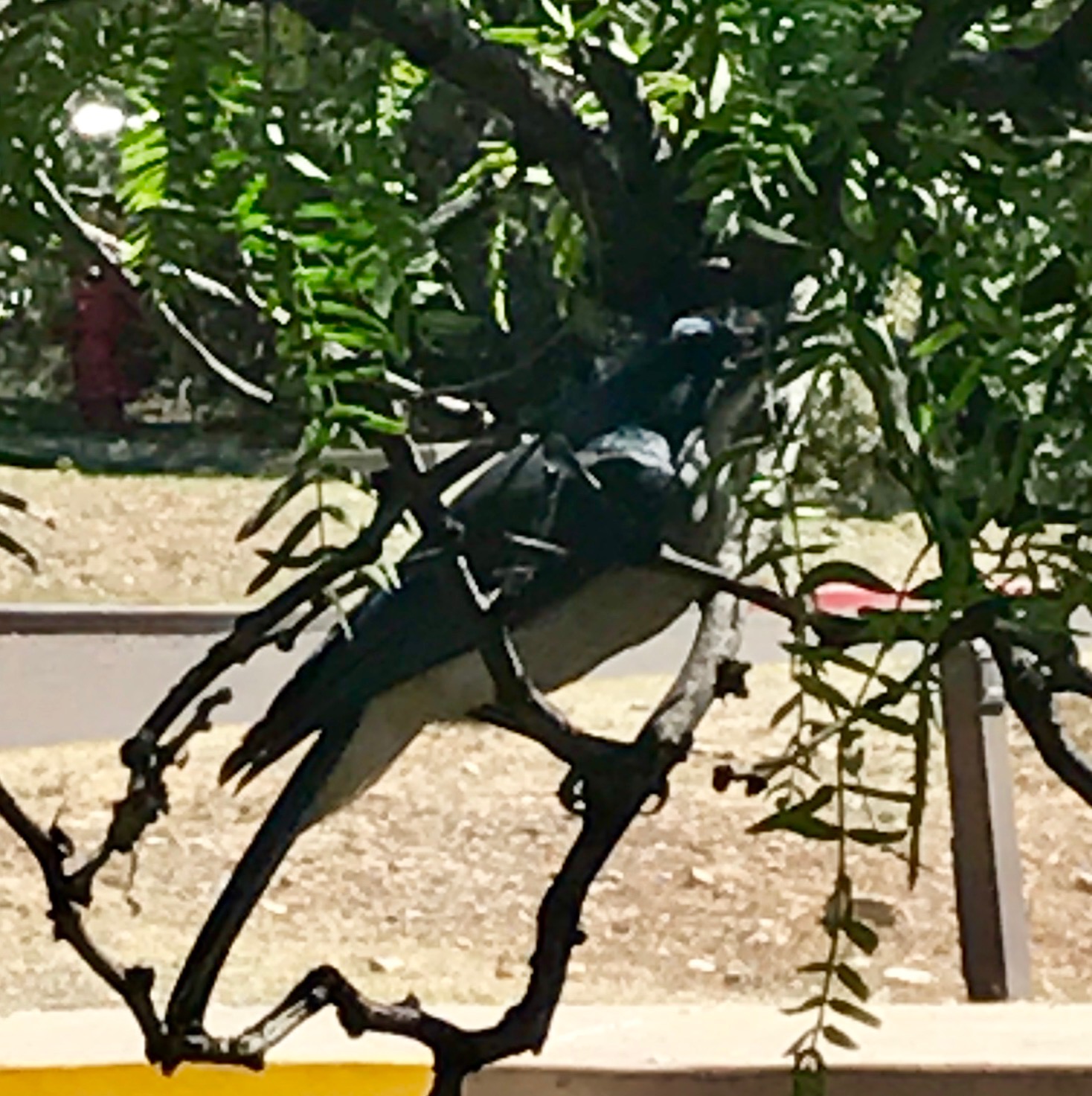 File Aug 29, 1 26 37 PM