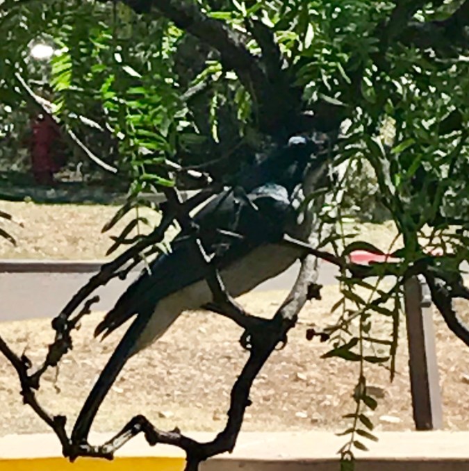 File Aug 29, 1 26 37 PM