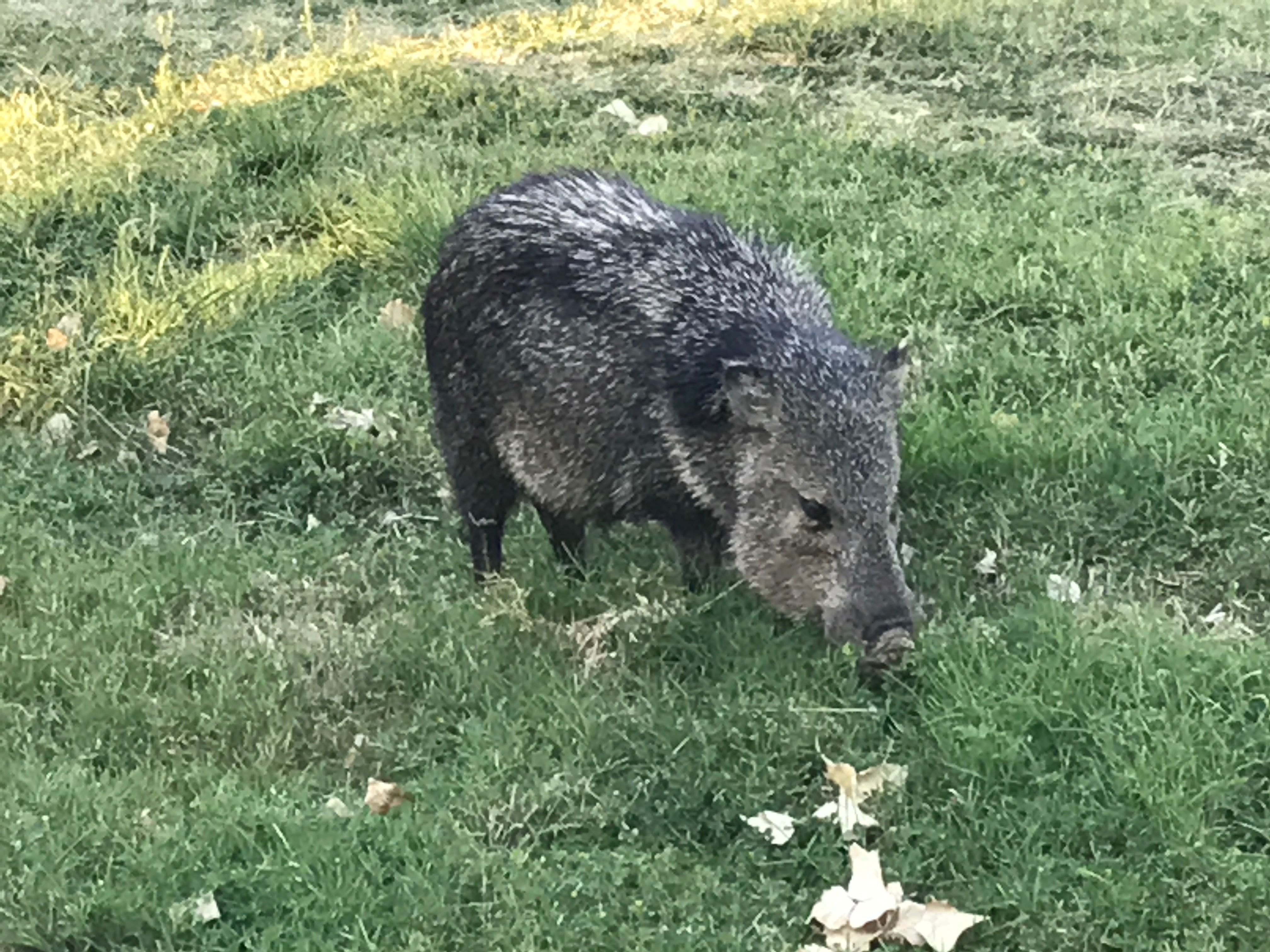 File Aug 29, 1 28 54 PM