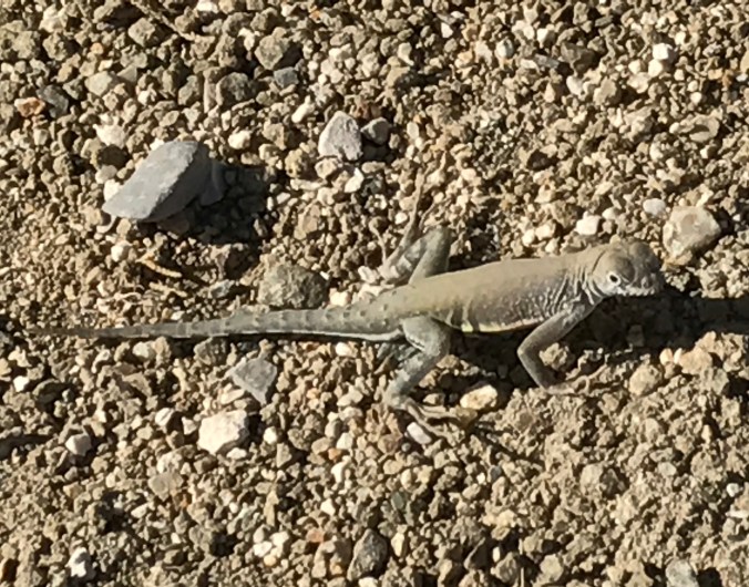 File Aug 29, 1 32 36 PM