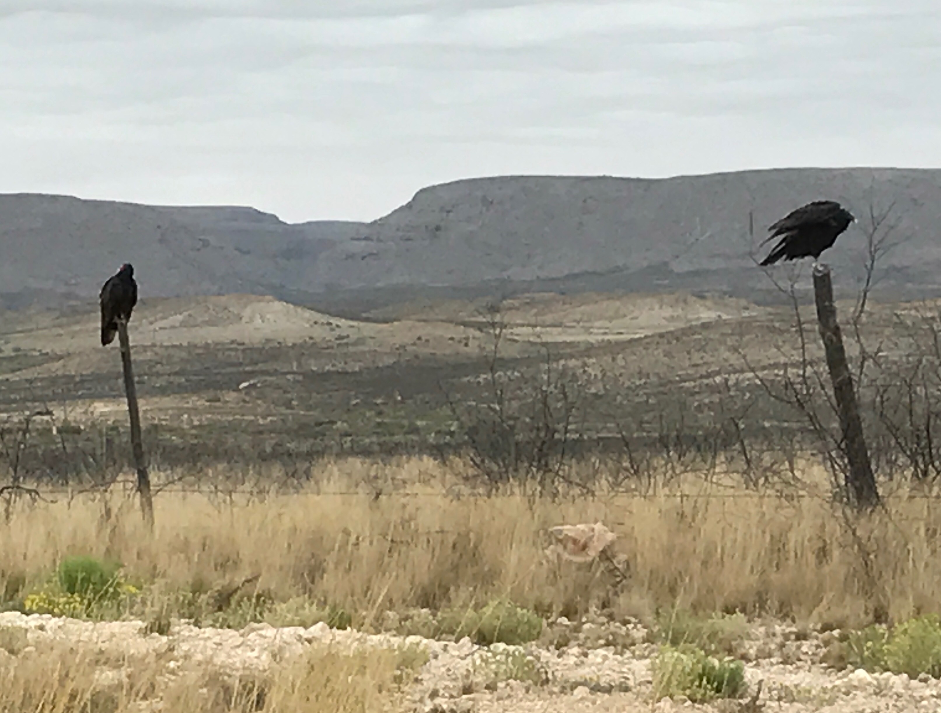 File Aug 29, 1 34 14 PM