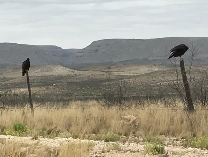 File Aug 29, 1 34 14 PM