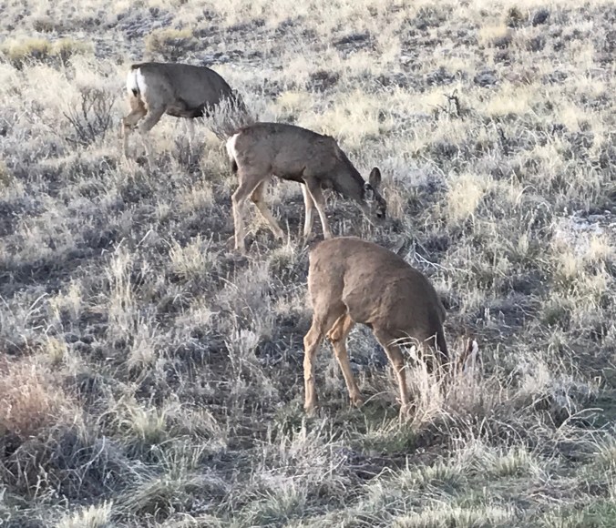 File Aug 29, 5 03 15 PM