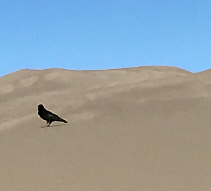 File Aug 29, 5 05 35 PM