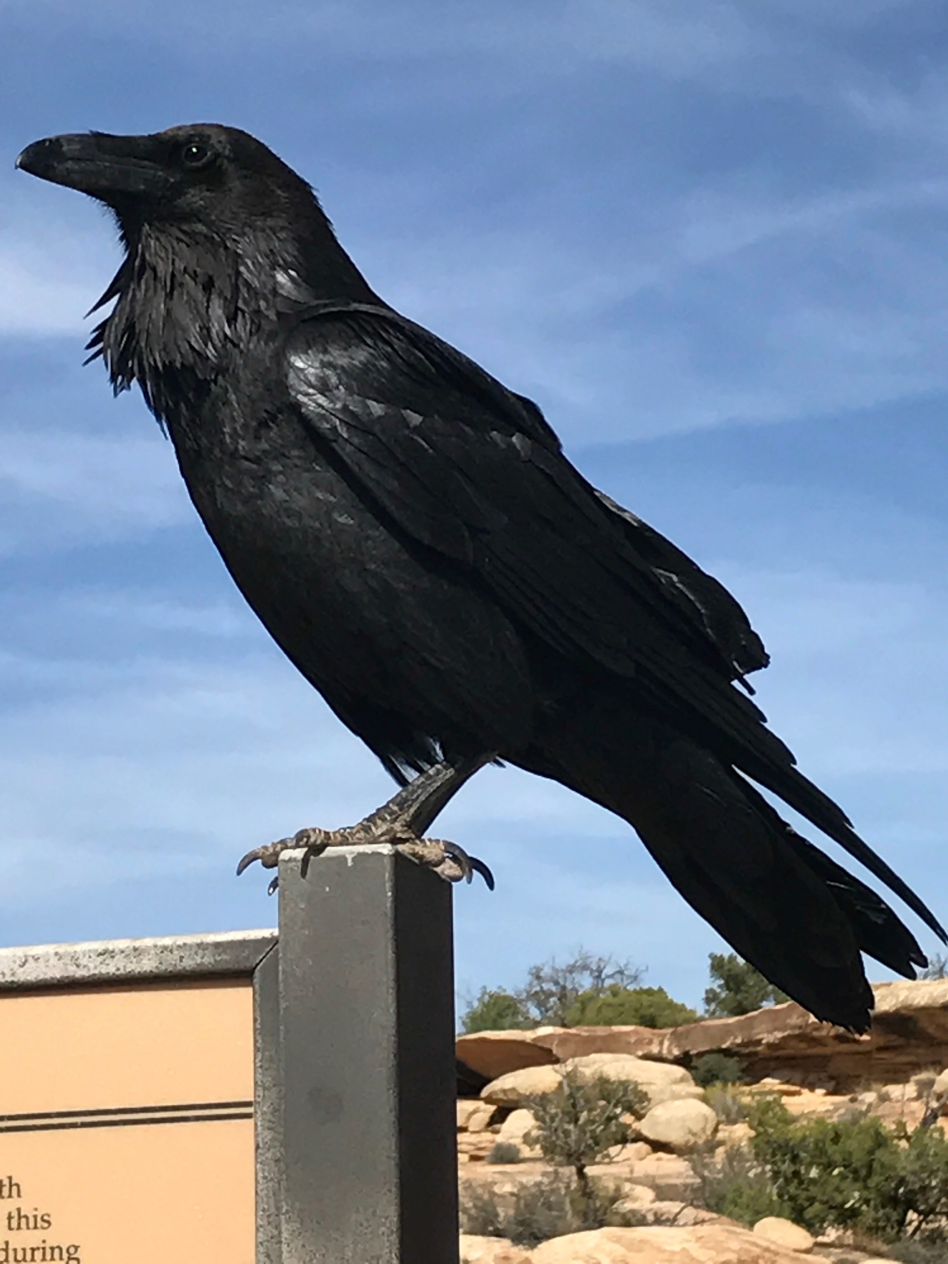 File Aug 29, 5 08 11 PM.jpeg