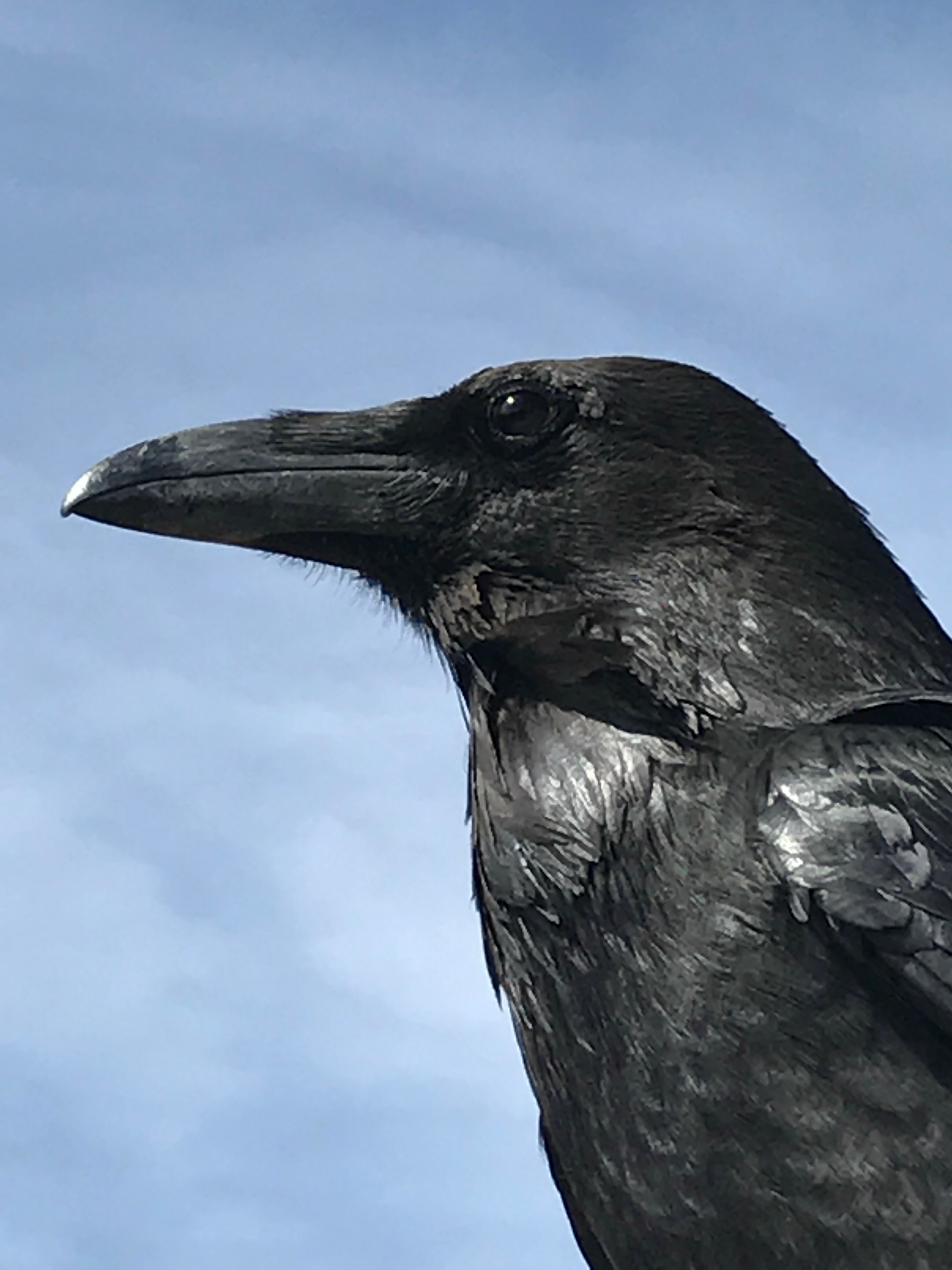 File Aug 29, 5 09 37 PM