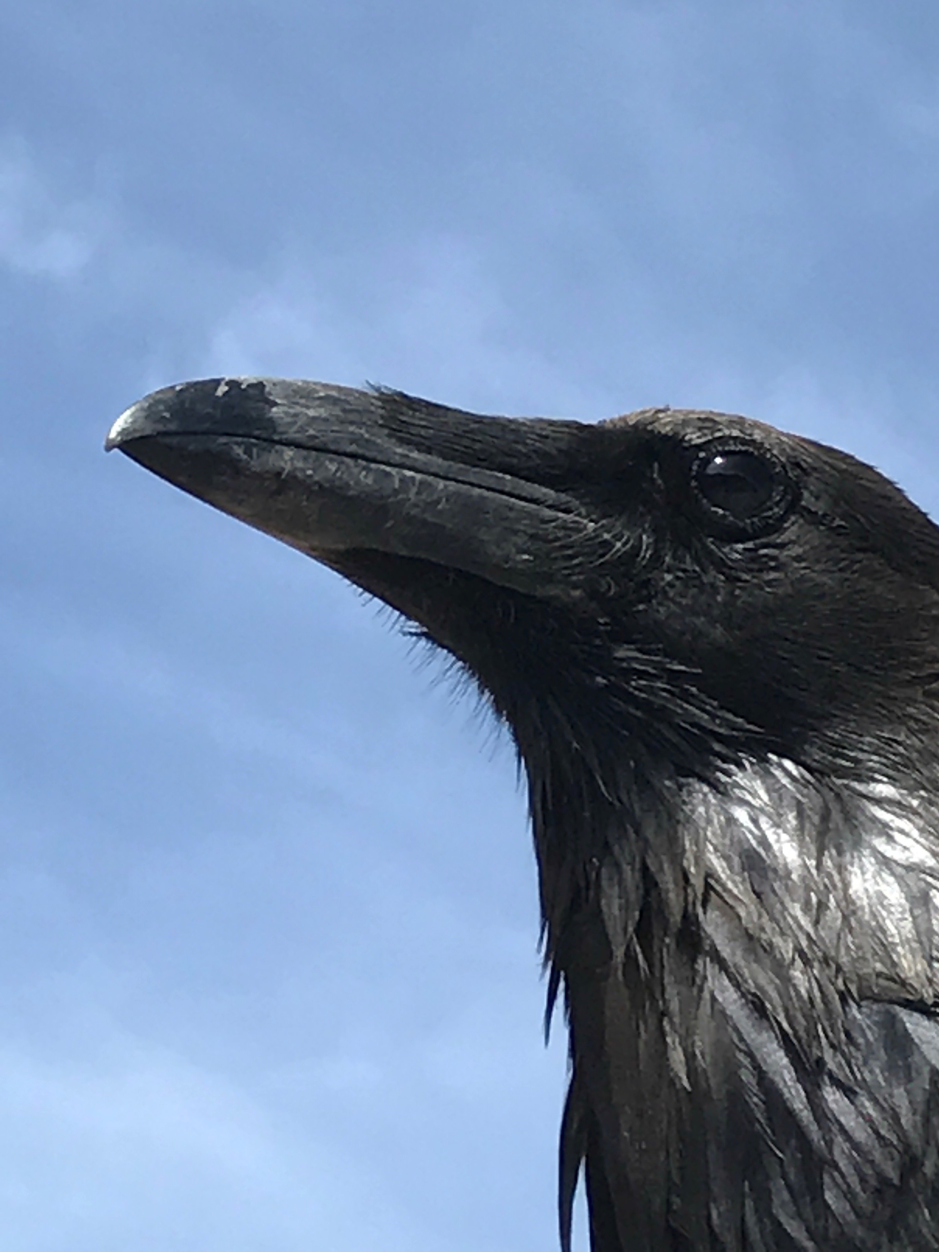 File Aug 29, 5 11 03 PM