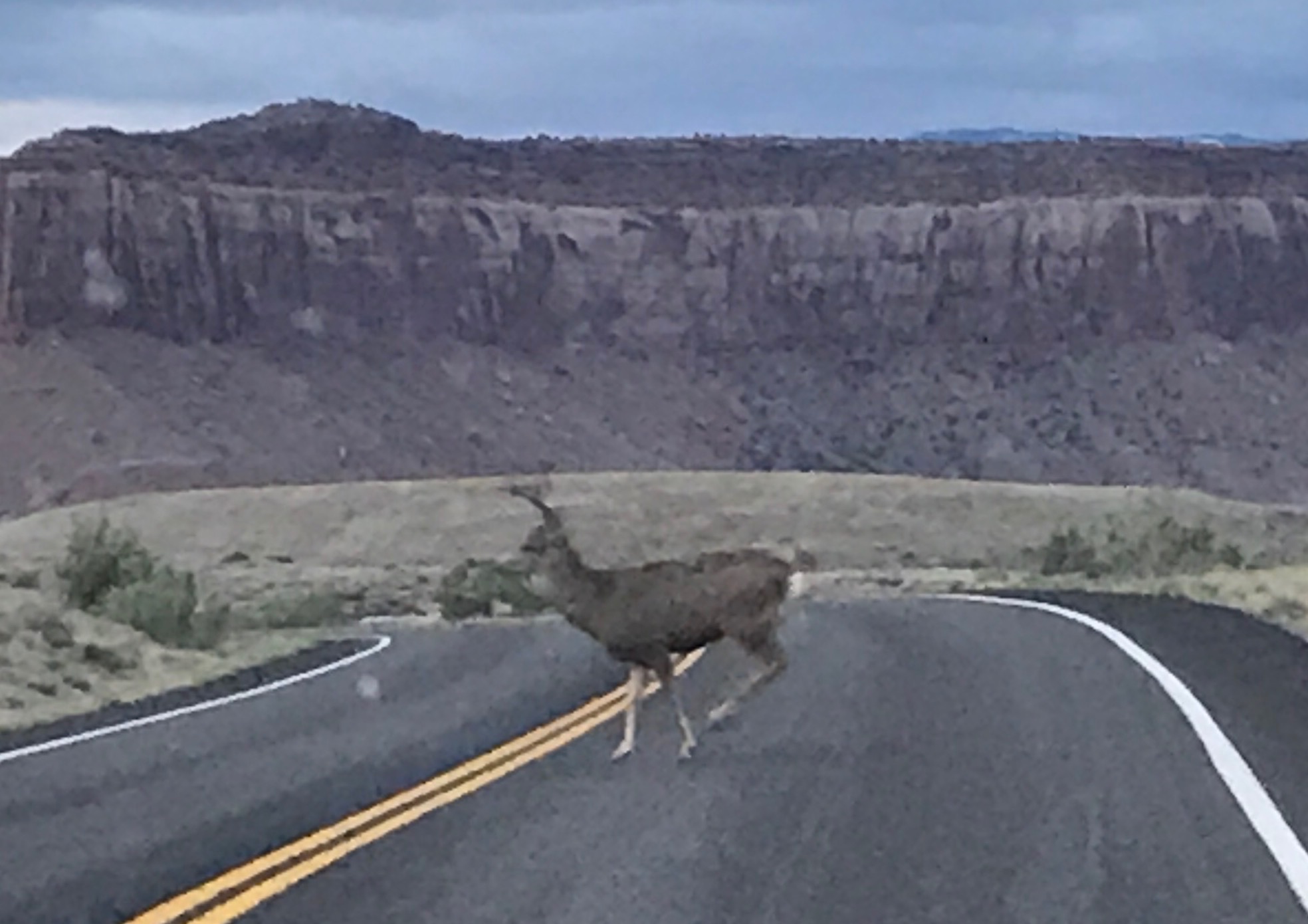 File Aug 29, 5 17 38 PM