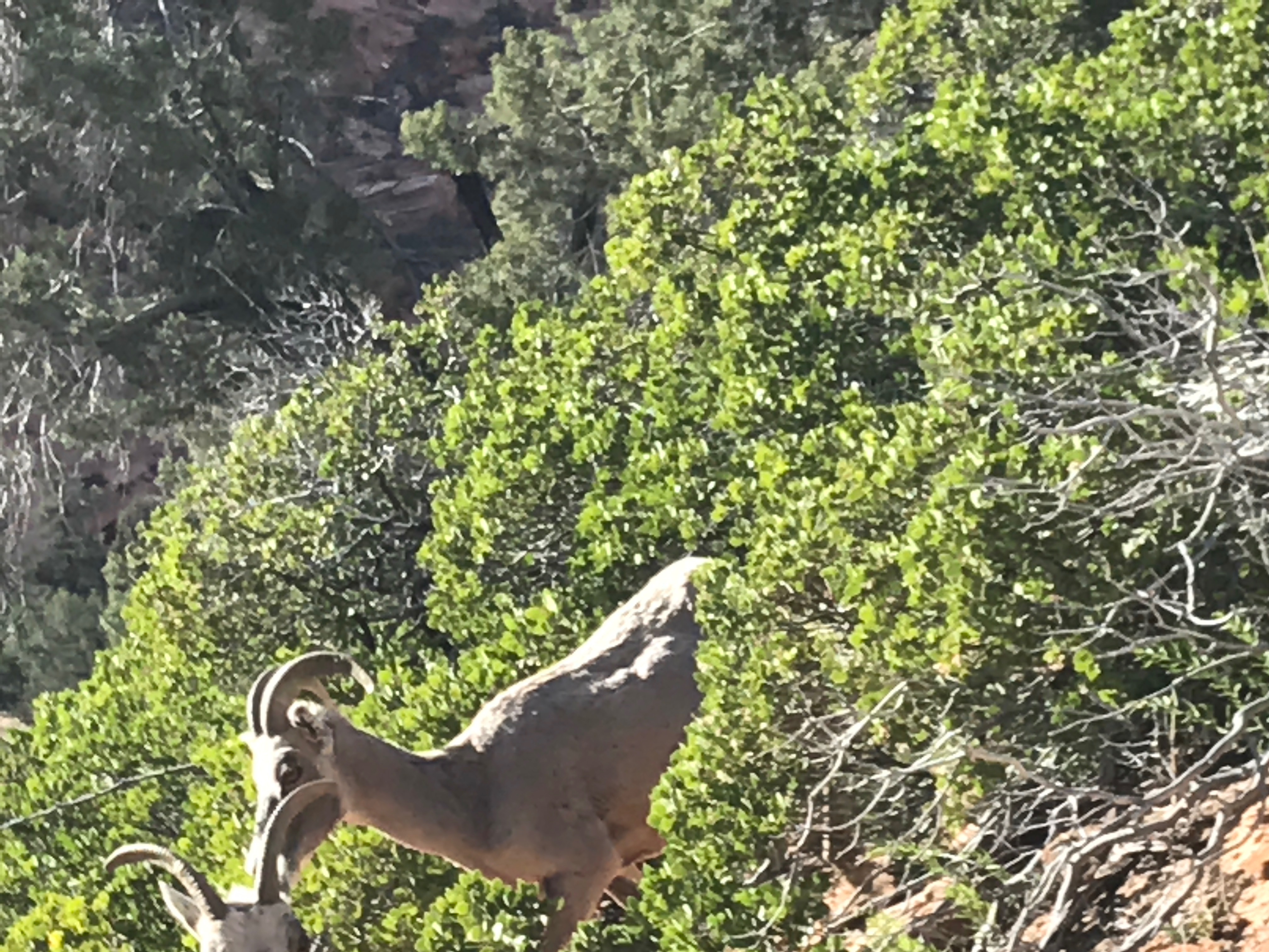 File Aug 29, 5 21 16 PM