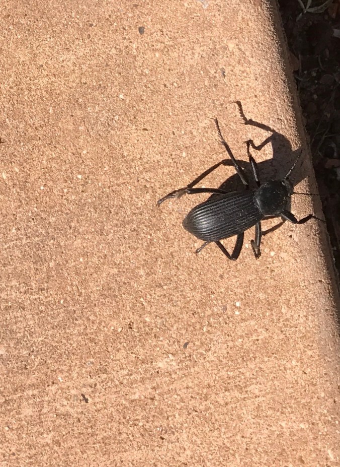 File Aug 29, 5 24 45 PM