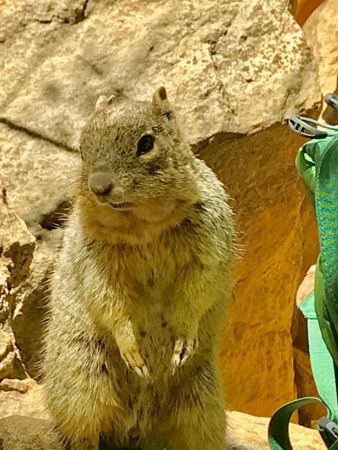 File Aug 29, 5 29 56 PM