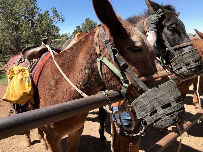 File Aug 29, 5 33 41 PM