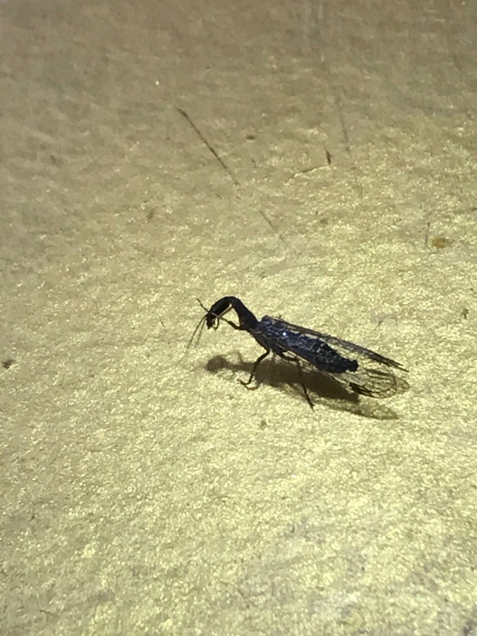 File Aug 29, 5 38 53 PM