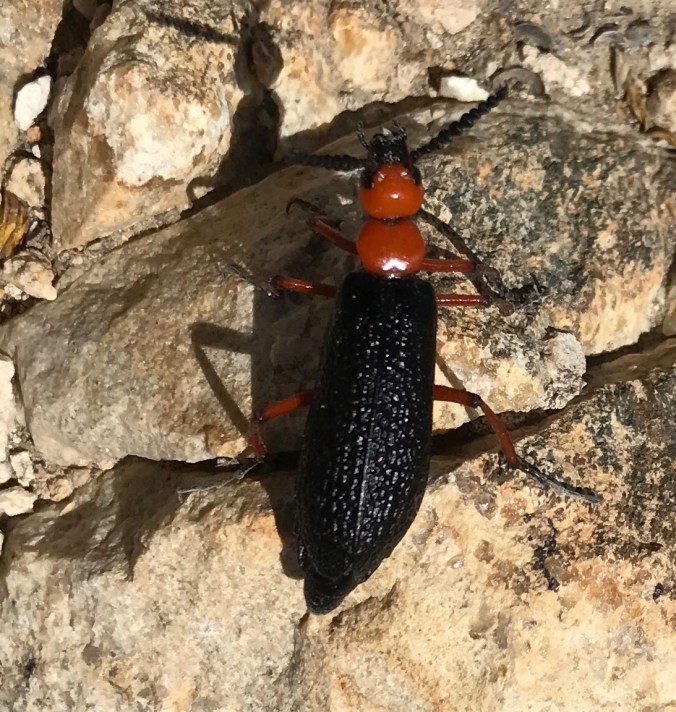 File Aug 29, 5 40 46 PM