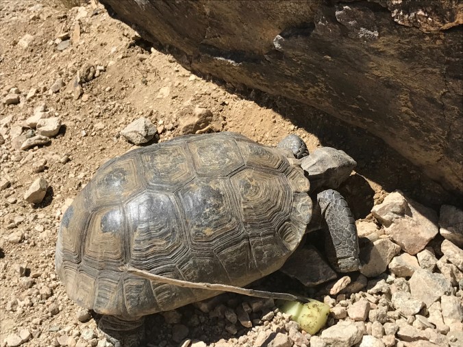 File Aug 29, 5 47 36 PM