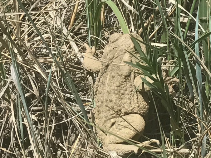 File Aug 29, 9 56 59 PM.jpeg