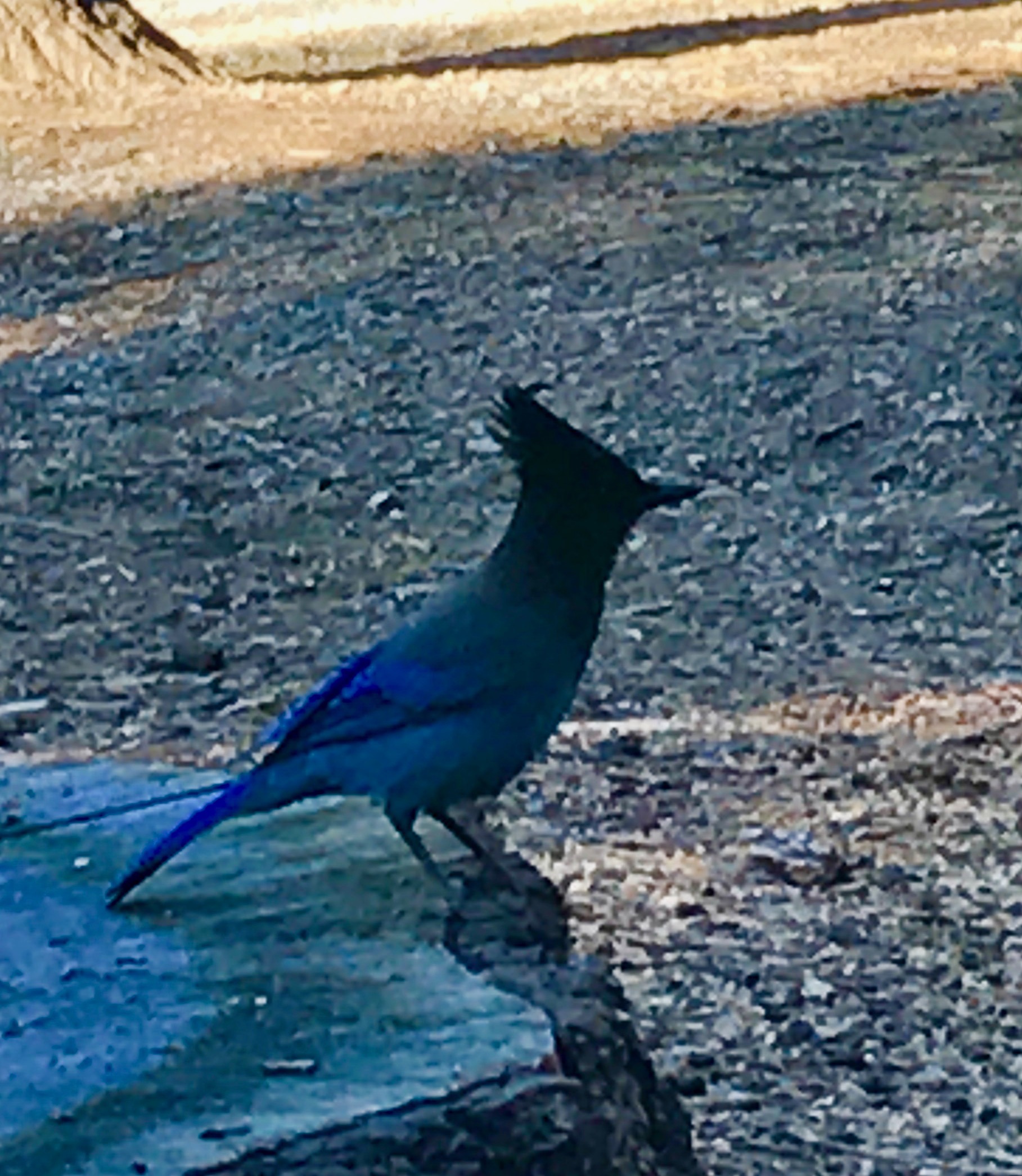 File Aug 30, 9 20 46 AM