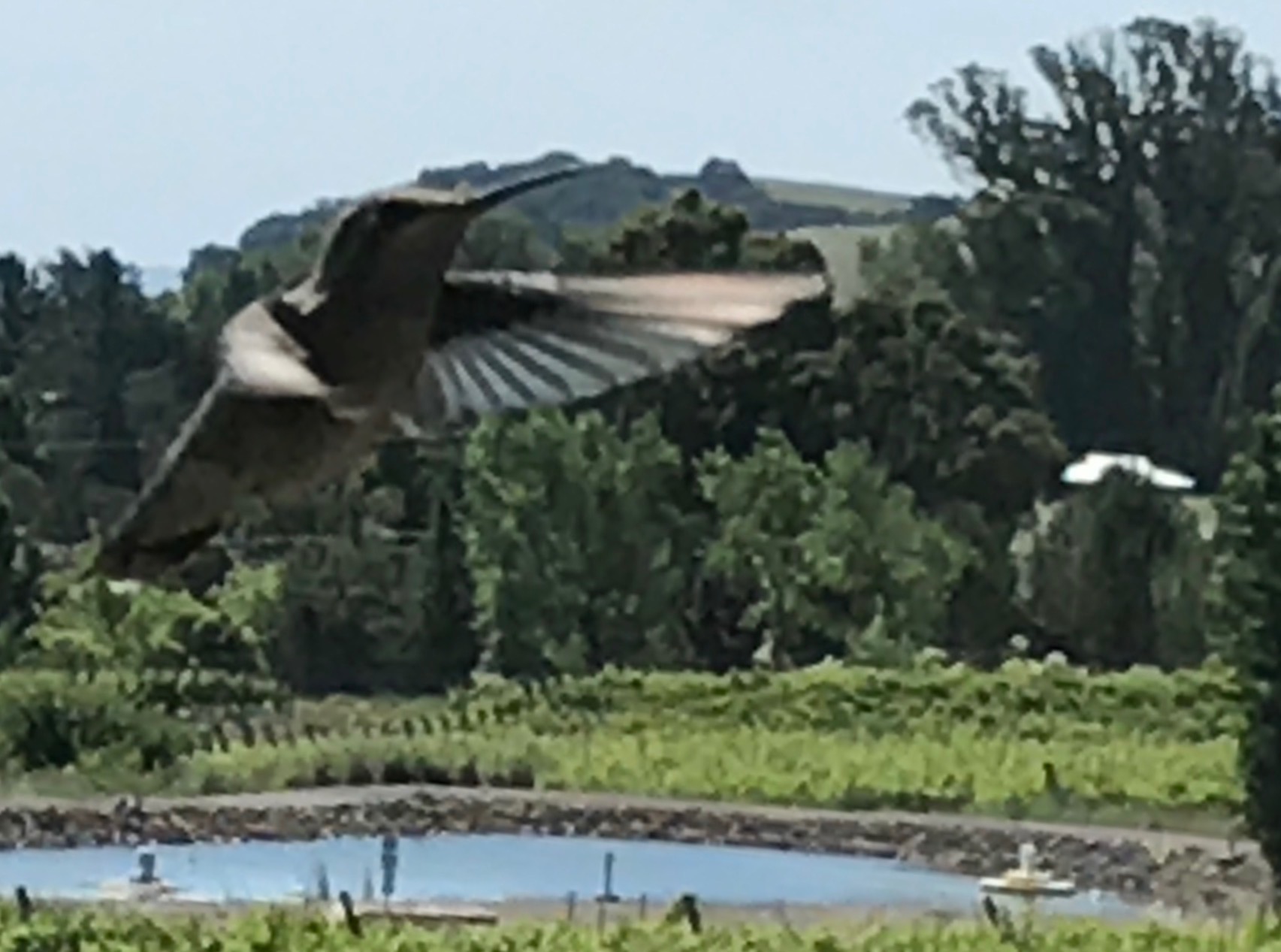 File Aug 30, 9 24 01 AM