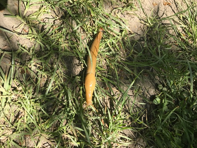 File Aug 30, 9 28 44 AM