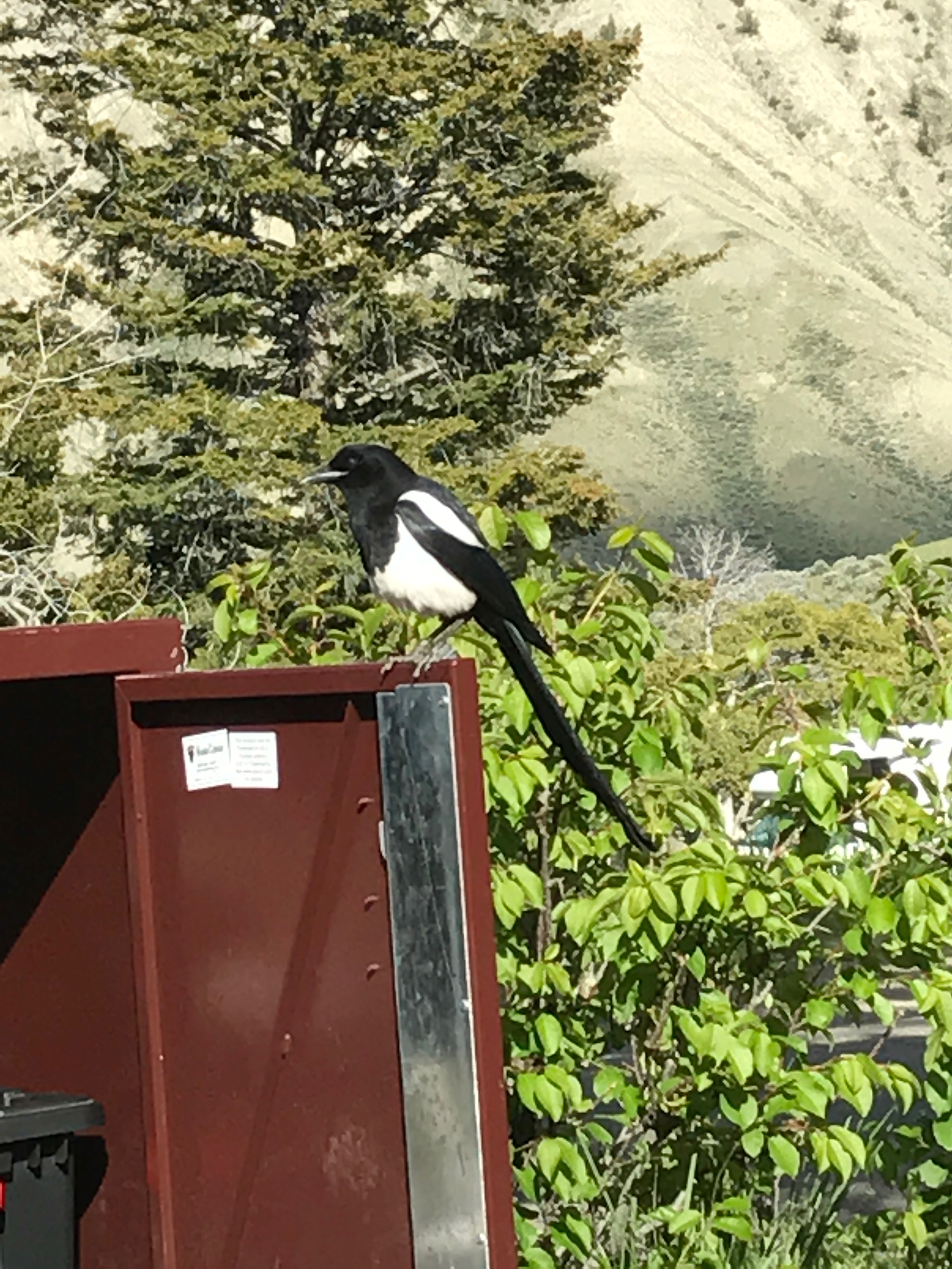 File Aug 31, 11 15 36 AM