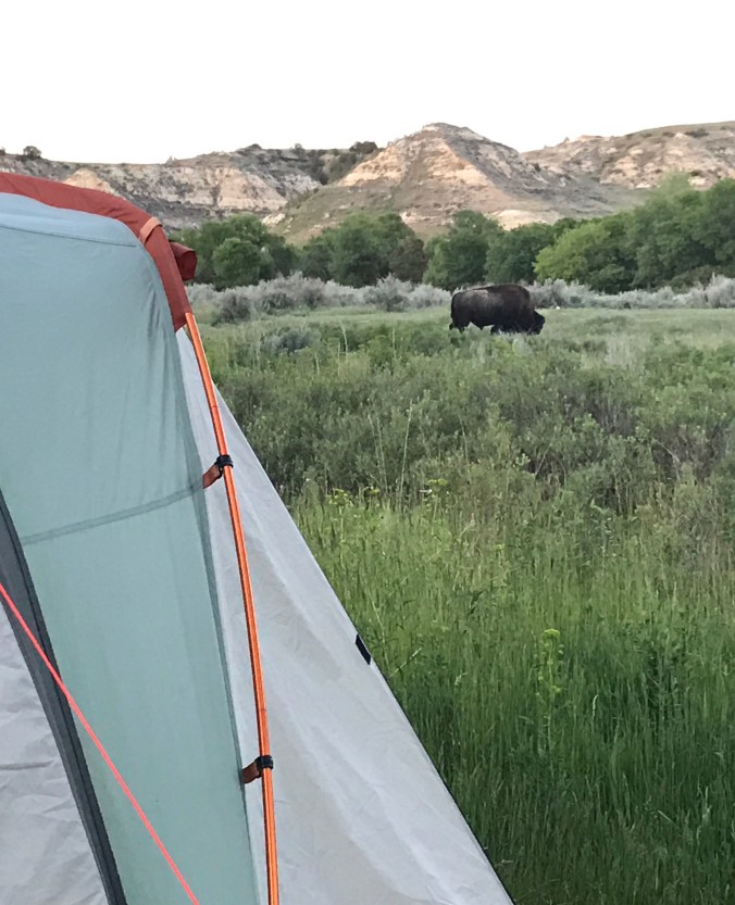 File Jul 24, 12 23 33 PM (1).jpeg