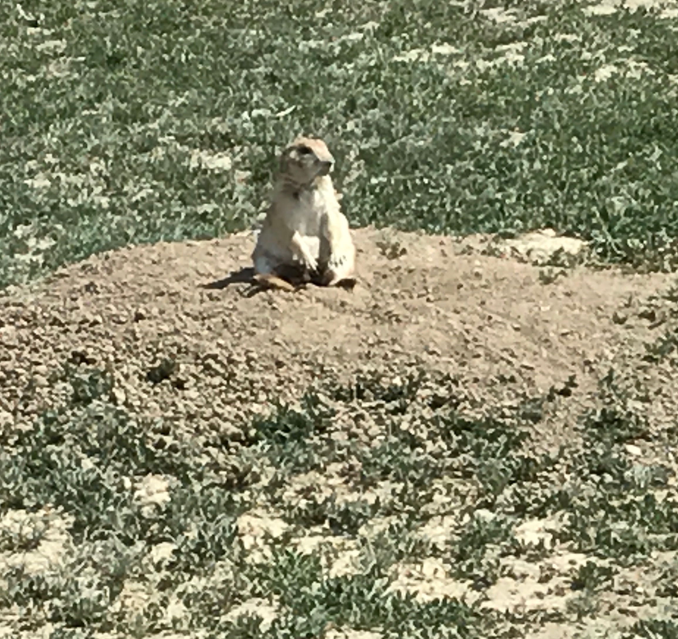 File Jul 24, 12 23 59 PM (2).jpeg