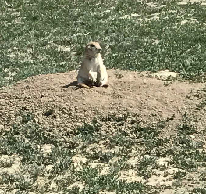 File Jul 24, 12 23 59 PM (2).jpeg