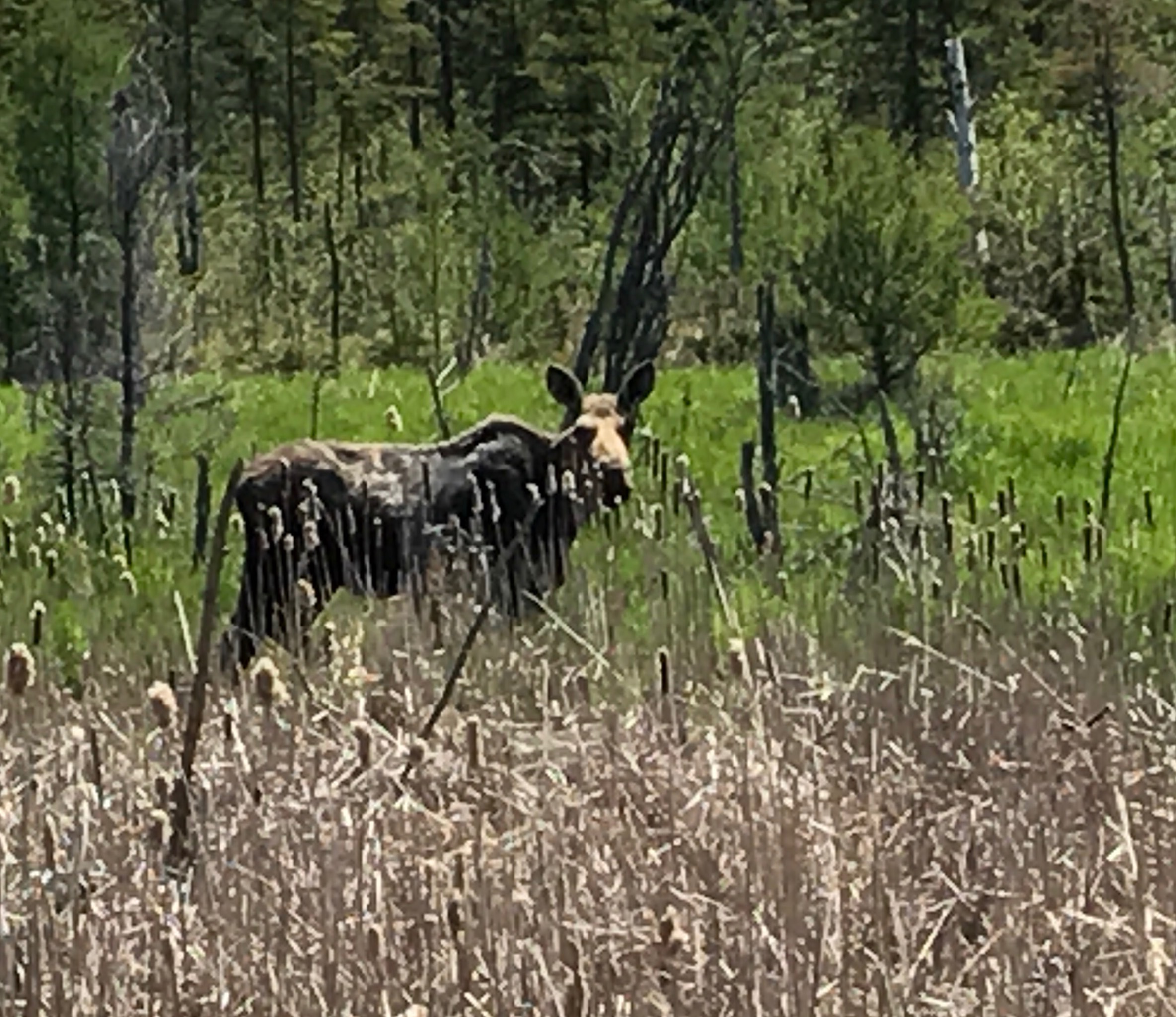 File Jul 31, 9 49 39 PM (2).jpeg