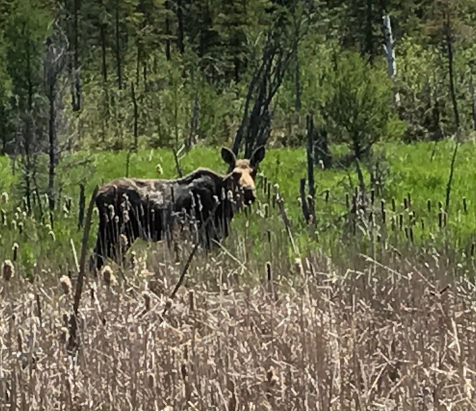 File Jul 31, 9 49 39 PM