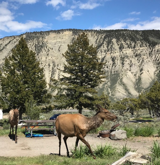 File Jun 11, 8 01 53 PM (2)