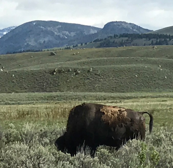 File Jun 11, 8 24 07 PM (2)