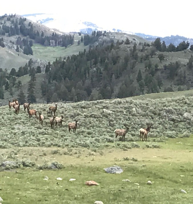 File Jun 11, 8 29 58 PM (1)