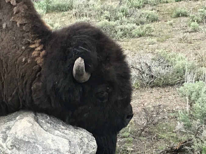 File Jun 11, 8 34 03 PM (2)