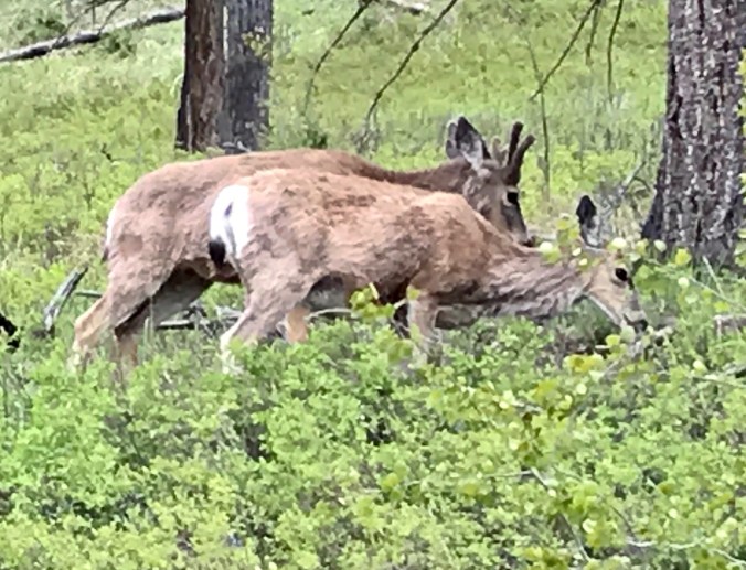 File Jun 11, 8 34 45 PM (2)