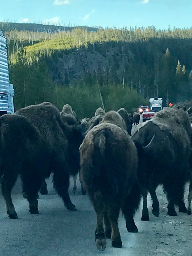 File Jun 11, 9 30 58 PM (1)