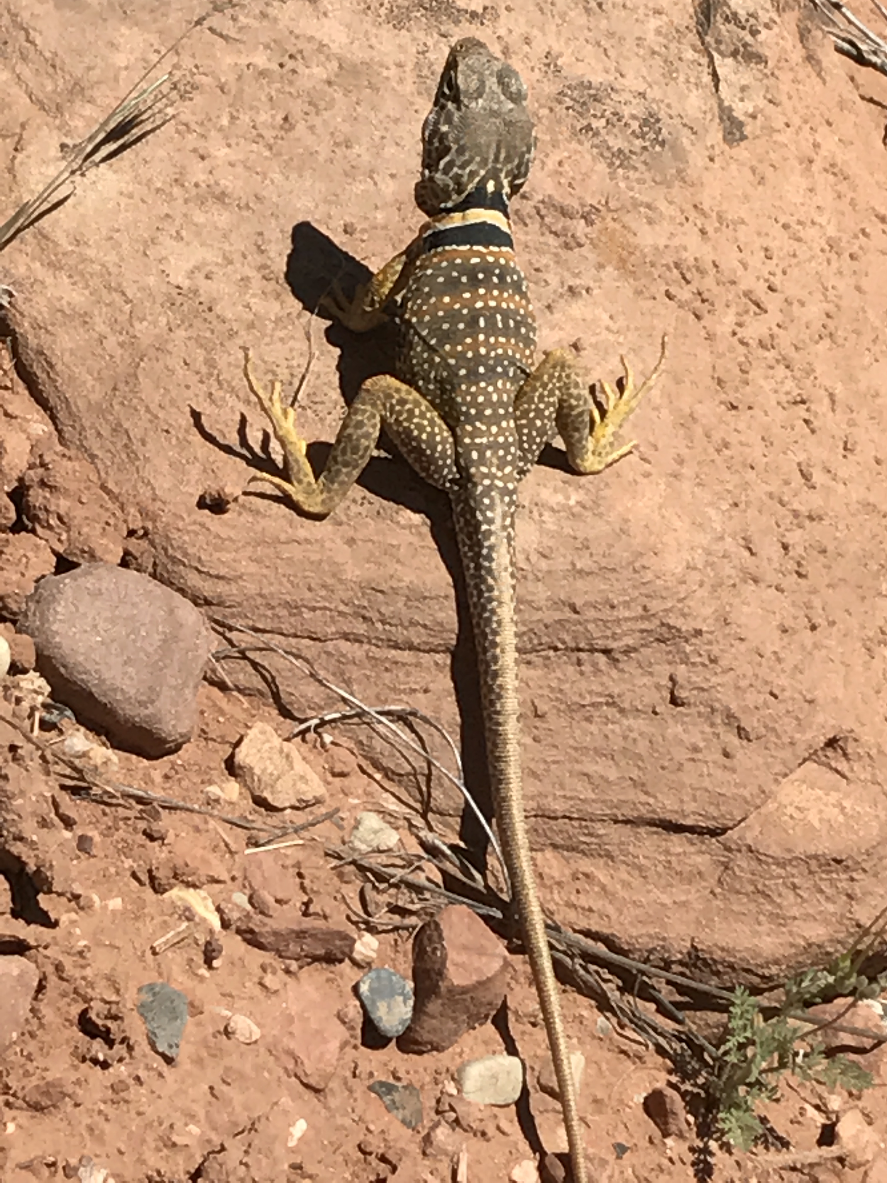 Photo Apr 20, 4 35 34 PM