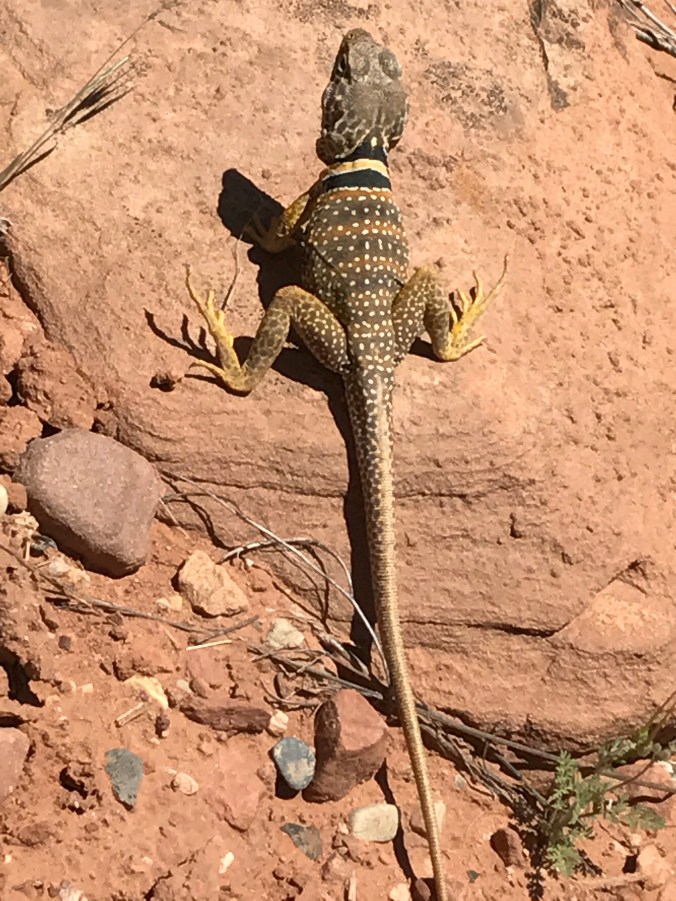 Photo Apr 20, 4 35 34 PM