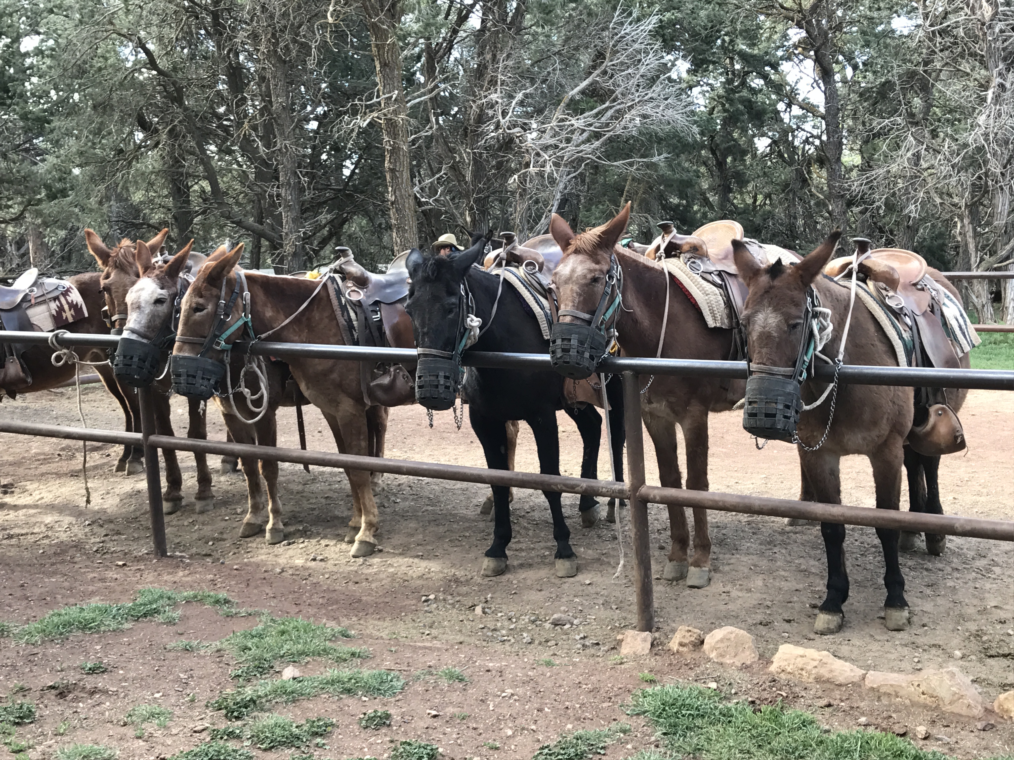 Photo Apr 25, 11 19 14 AM