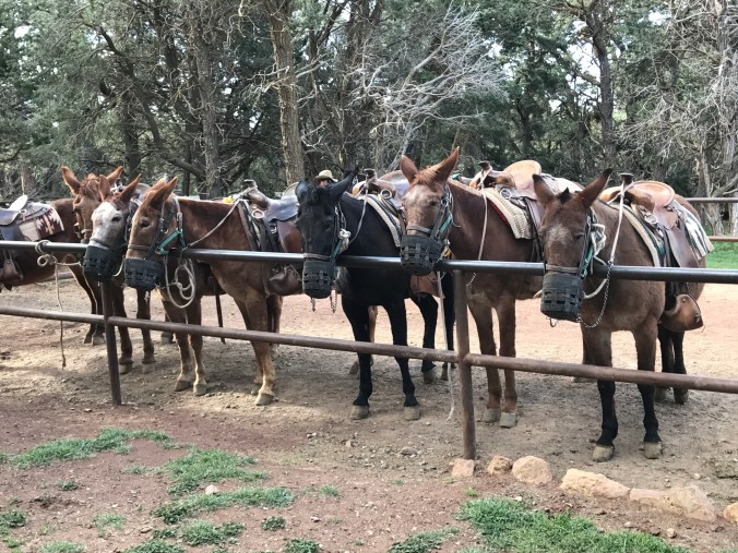 Photo Apr 25, 11 19 14 AM