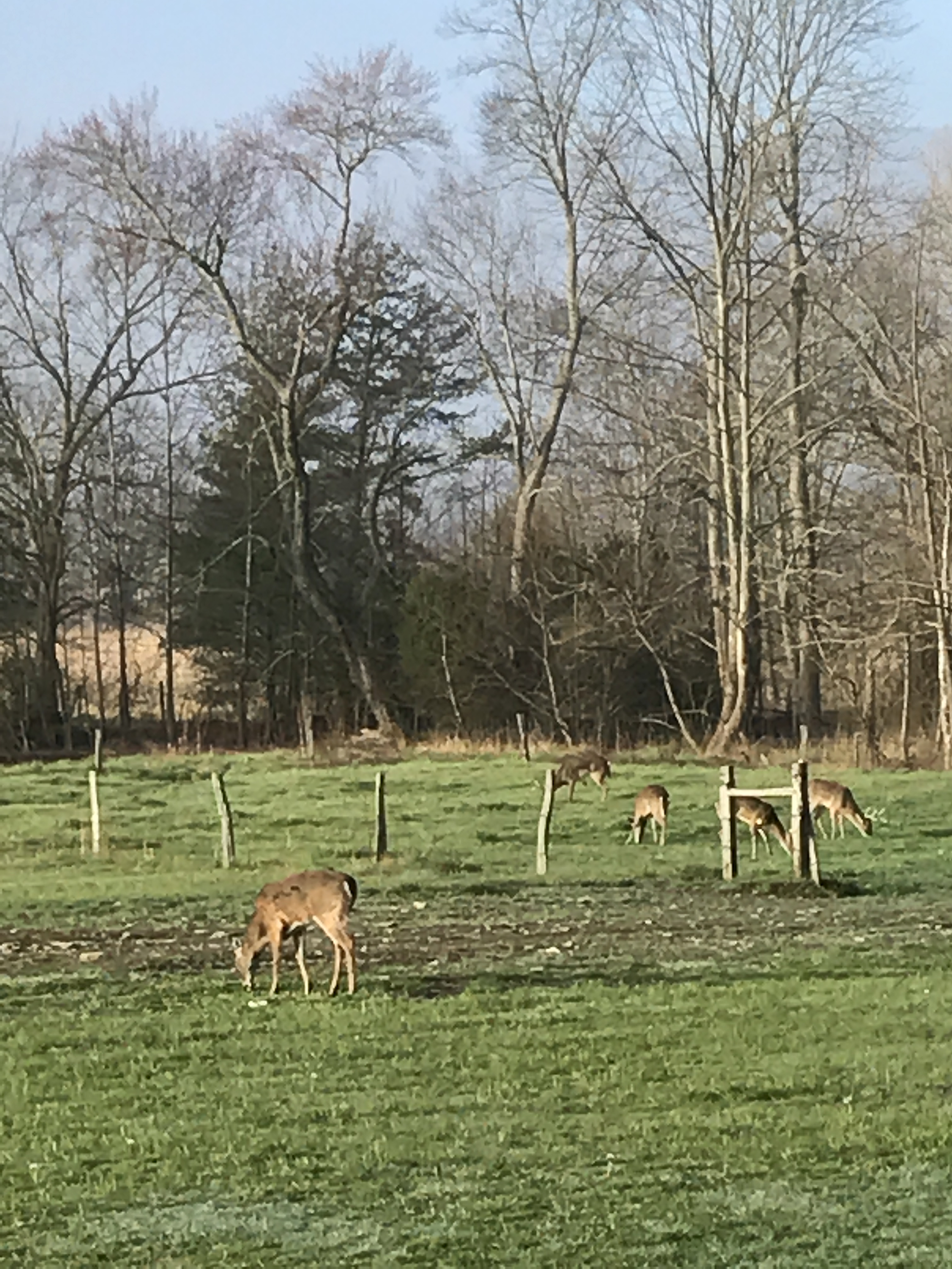 Photo Mar 29, 8 33 23 AM (1)