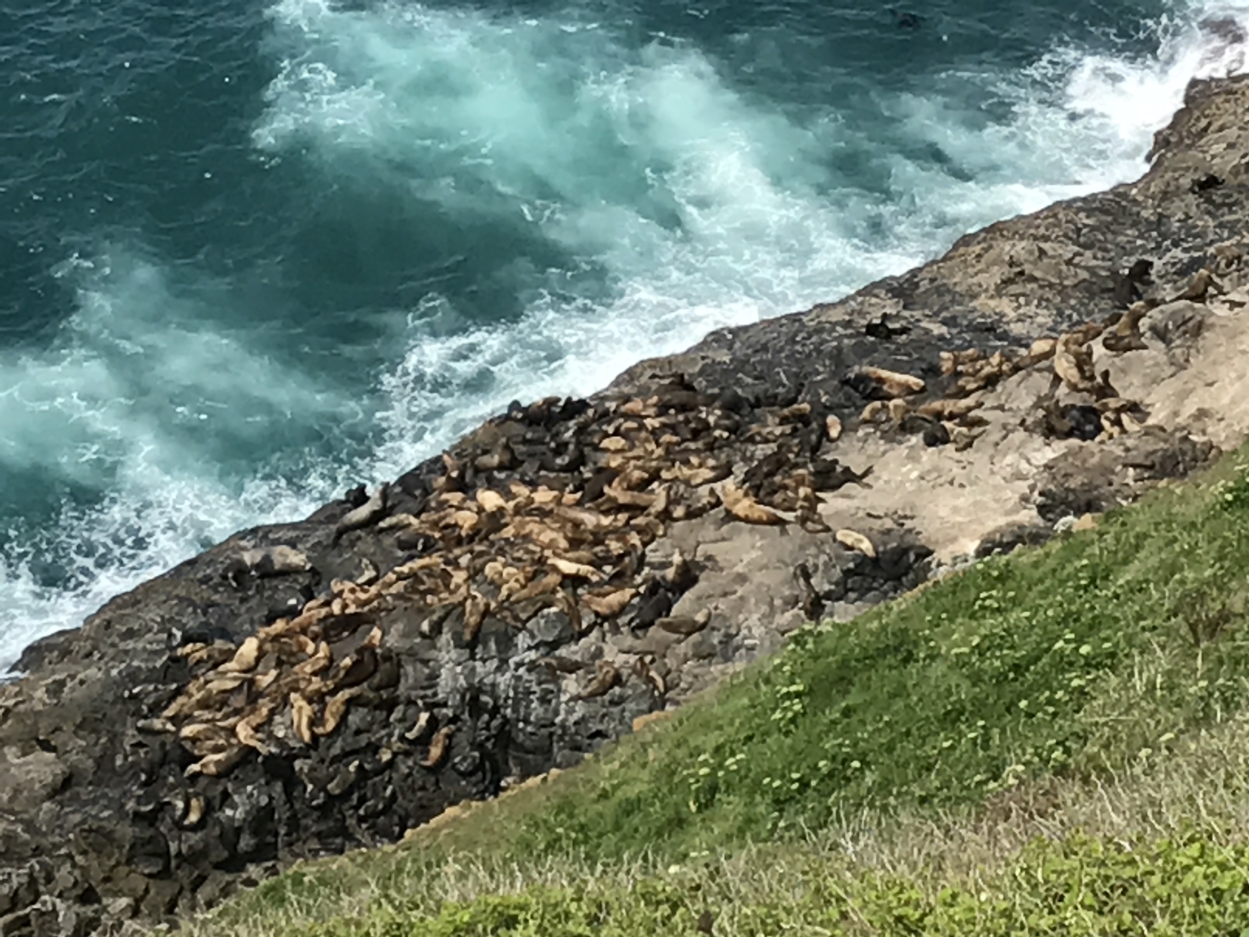 Photo May 10, 3 56 33 PM (1)