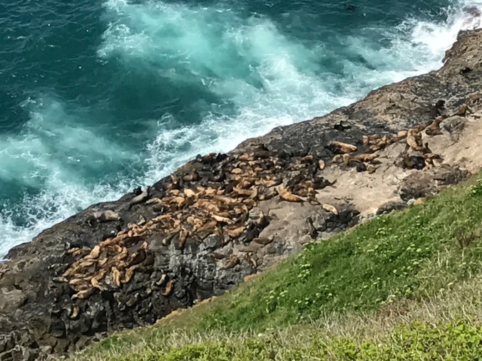 Photo May 10, 3 56 33 PM (1)