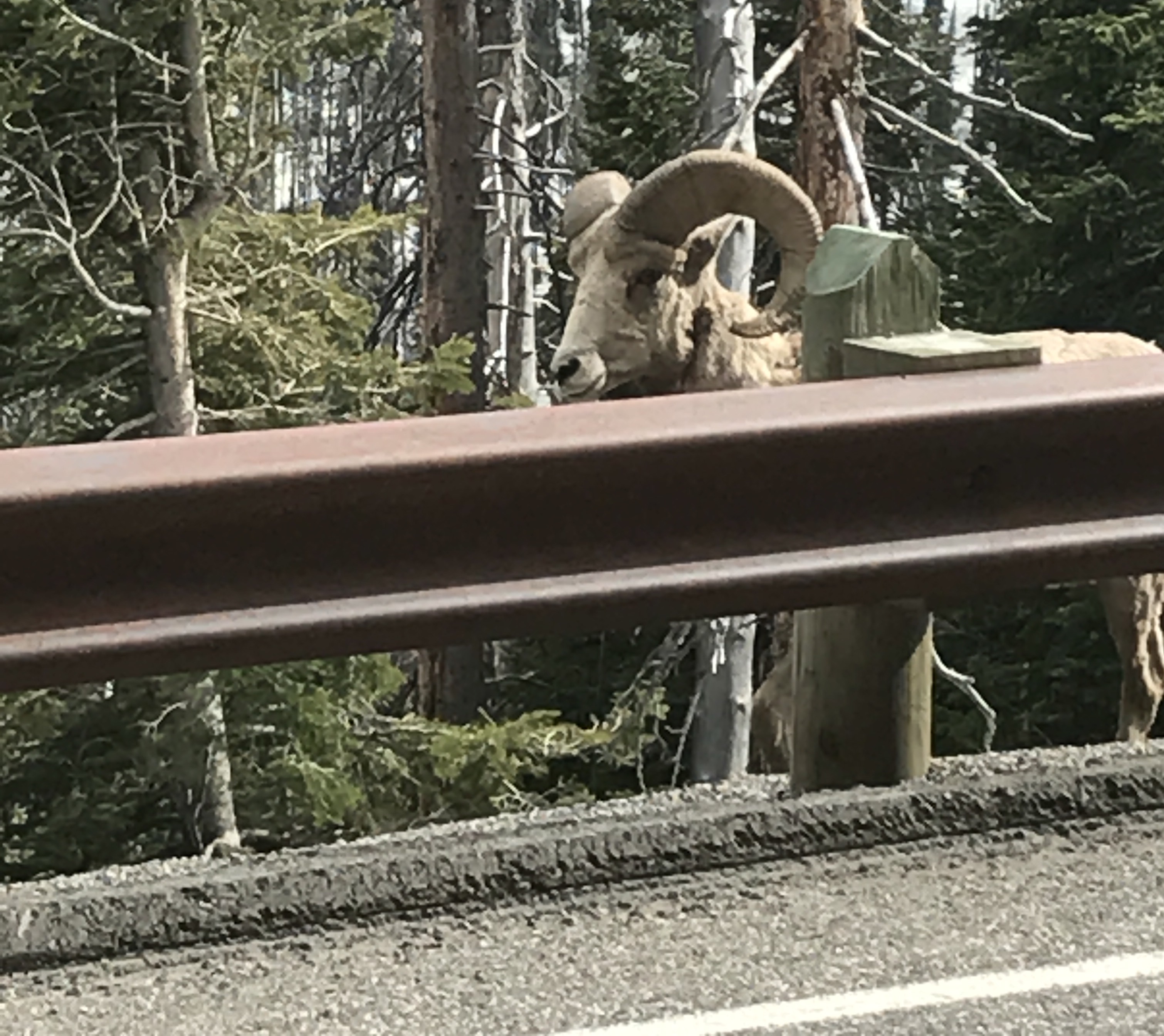 Photo May 22, 6 28 39 PM (1)