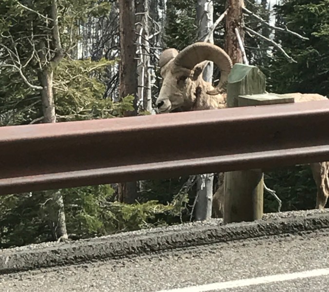 Photo May 22, 6 28 39 PM (1)