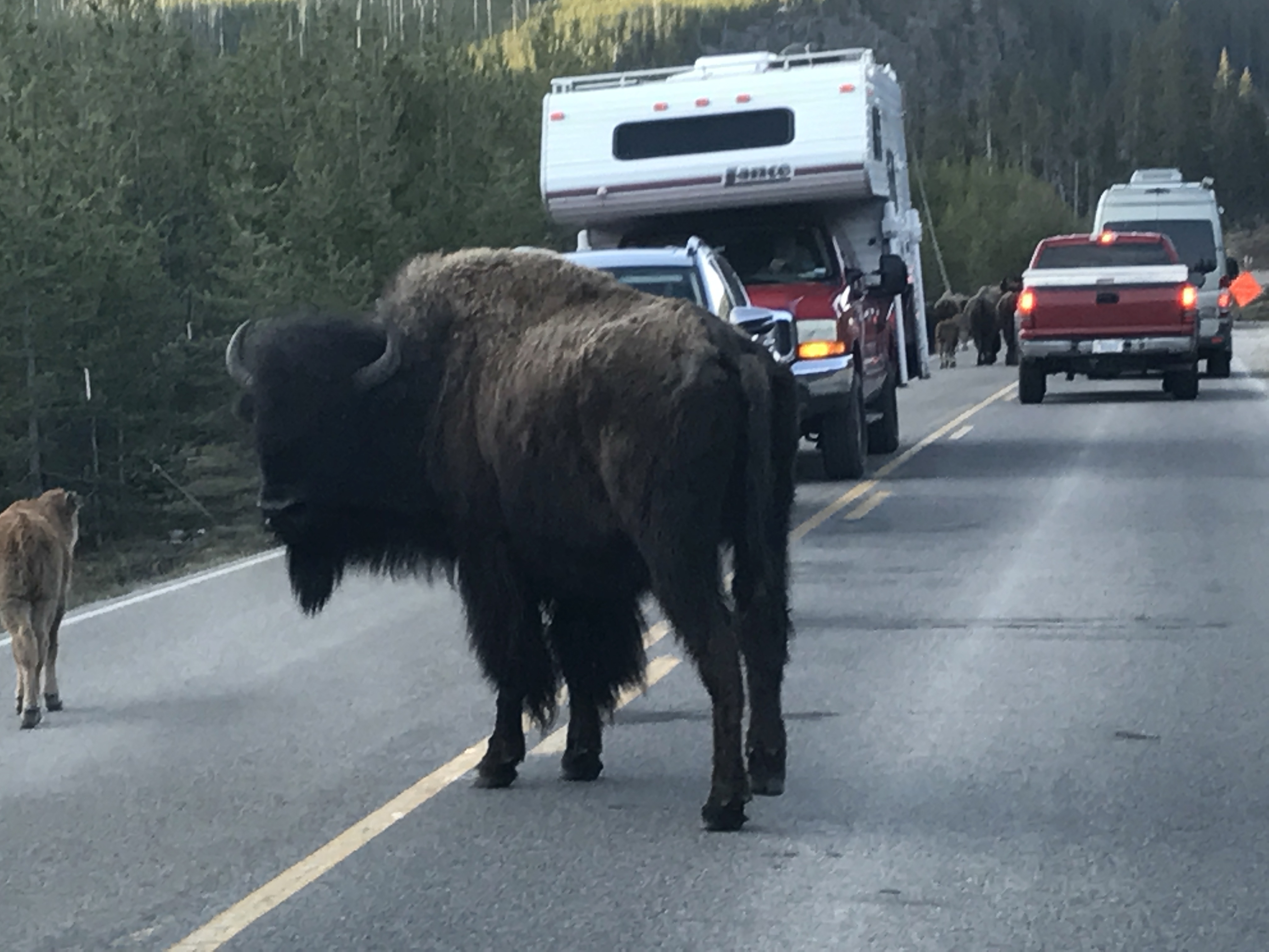 Photo May 24, 8 38 34 AM