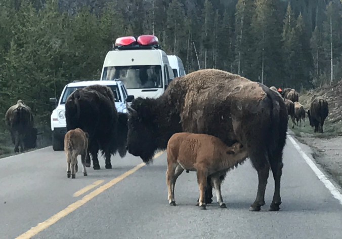 Photo May 24, 8 44 39 AM (1)